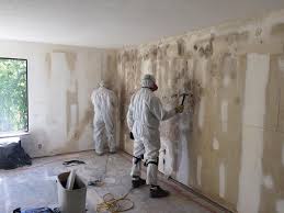 Mold Odor Removal Services in Pottsville, PA